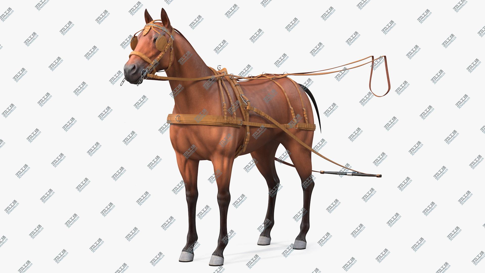 images/goods_img/20210313/3D Horse Leather Single Driving Harness model/1.jpg